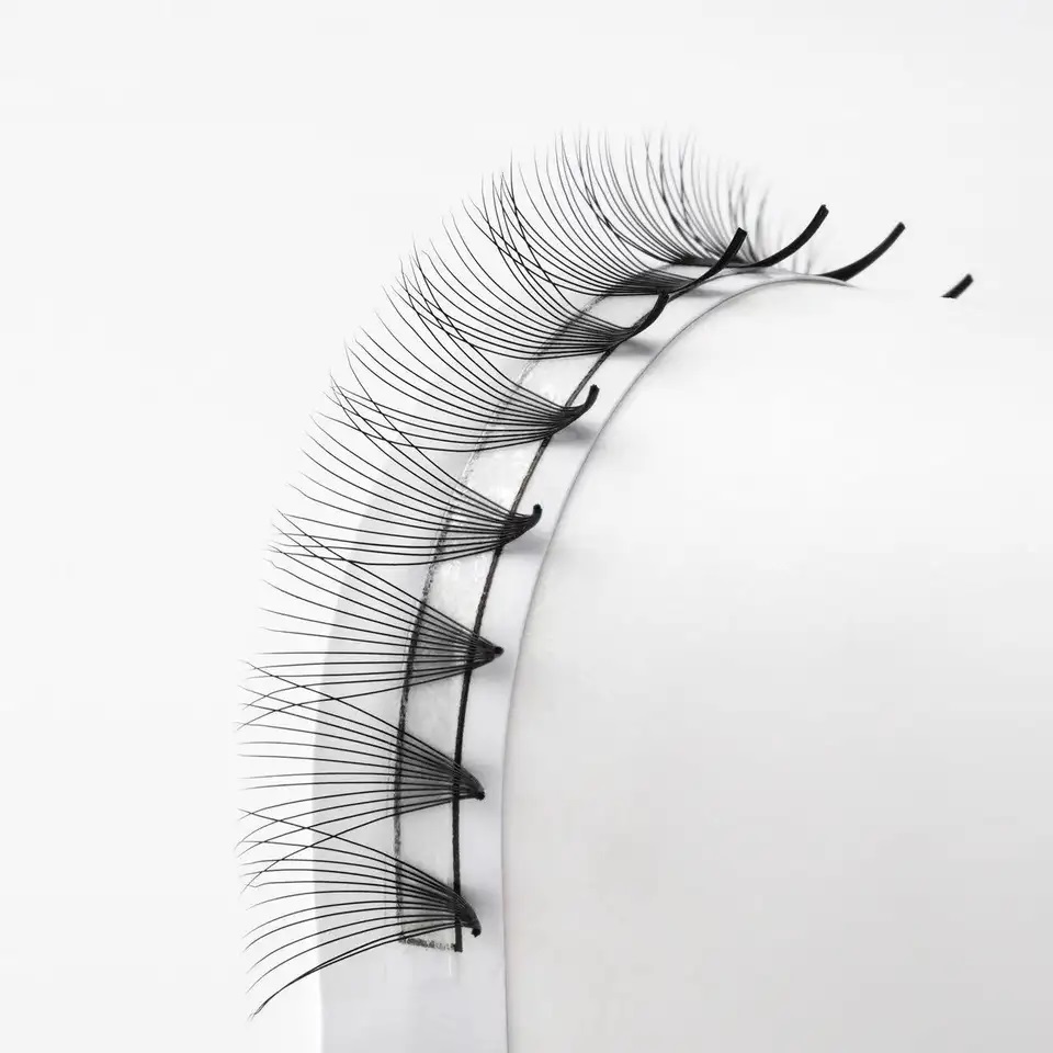 Extension de cils