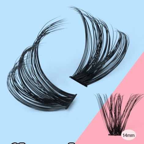 Cils segmentés